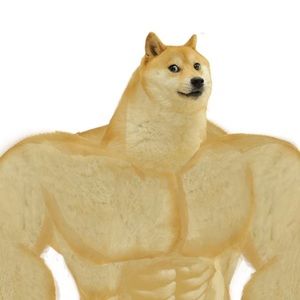 Meet your Posher, Billy